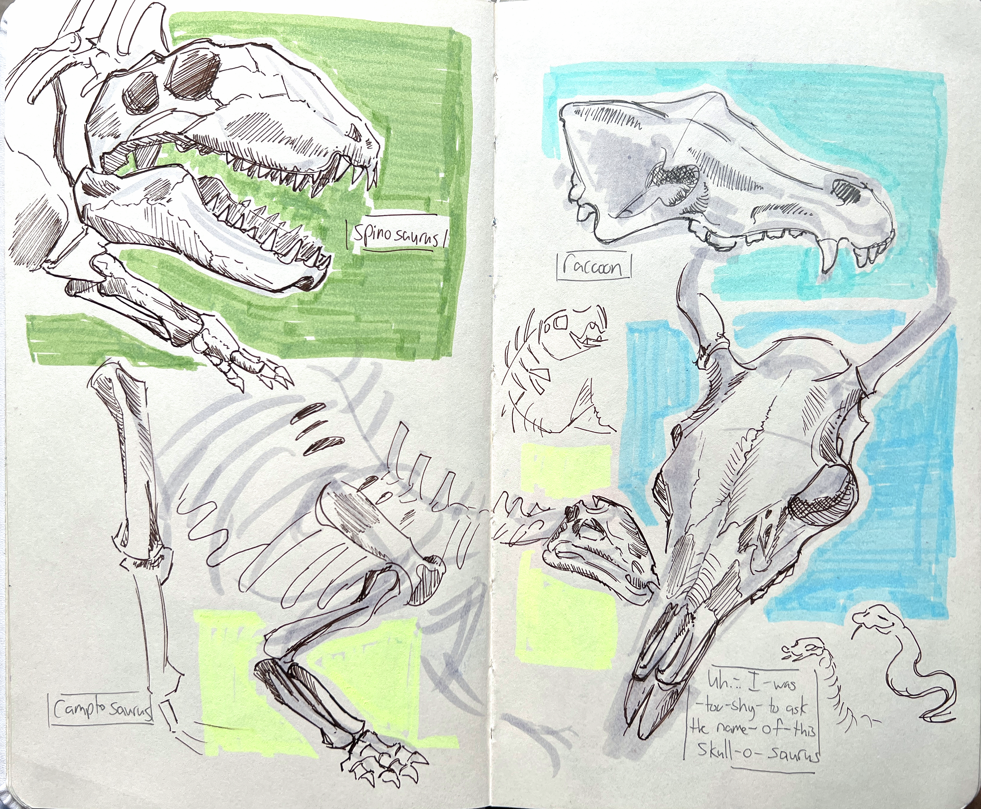 Life Drawing Study